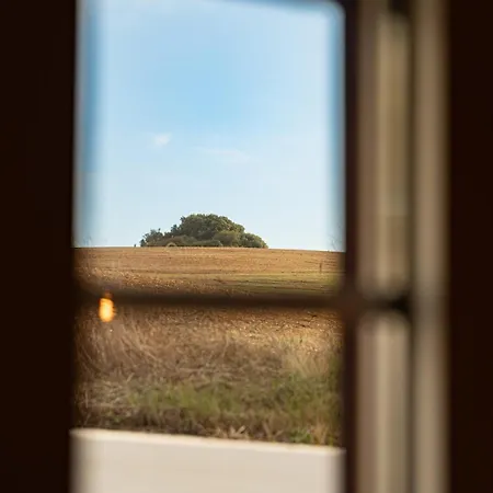 Um Pouco De Campo Ferienhaus